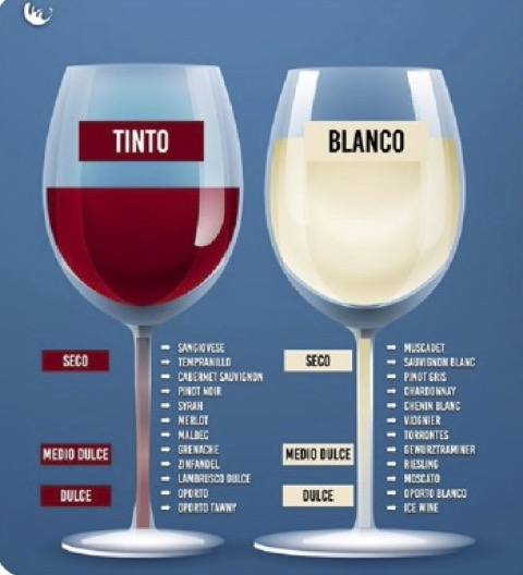 Infographic: The vital differences between grapes red and white colour aroma and tasting