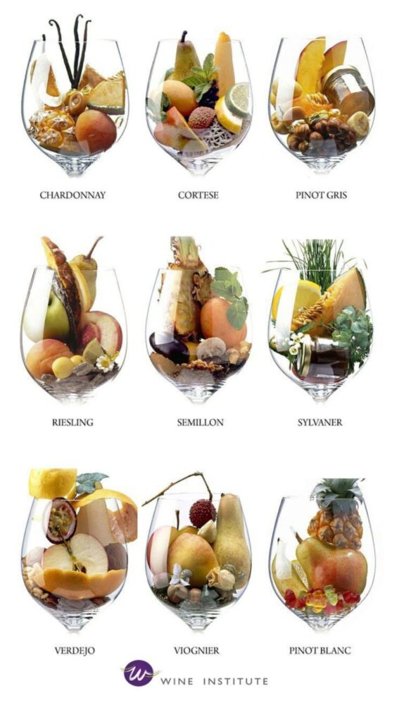 Choose your wine by scent and taste, illustration of glasses of fruit and spices with Wine Institute