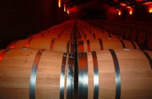 Barrels in Wine Cave