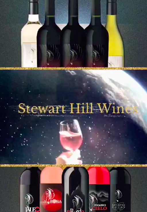 a glass raised to you and our travels in space with wine