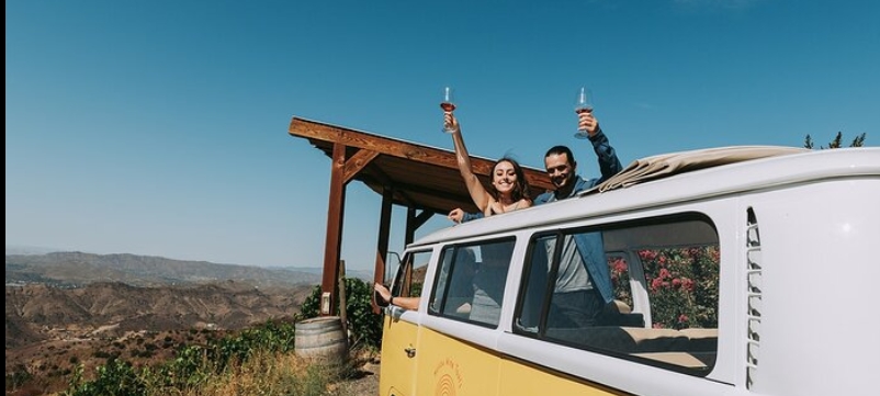 Vintage VW Vineyard Tours on Tripadvisor