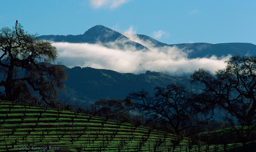 high altitude wine malbec fields argentina laura catana with strewarthilluk
