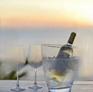 Summer wine lovers florida taste in wine chilled fresh wine and frosty glasses on a sea horizon with Stewarthilluk